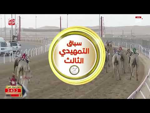 ش 3 (الظبي) لـ عبدالله فاهم بن عبدالله يوسف ال عبدالله 6:06:42 مهرجان العين 2026/09/14 لقايا الروضة