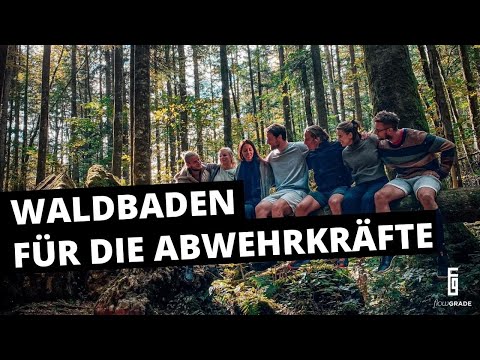 Mit Waldbaden die Abwehrkräfte stärken mit Biohacker Max Gotzler | Flowgrade