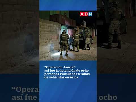 “Operación Jauría”: así fue la detención de ocho personas vinculadas a robos de vehículos en Arica