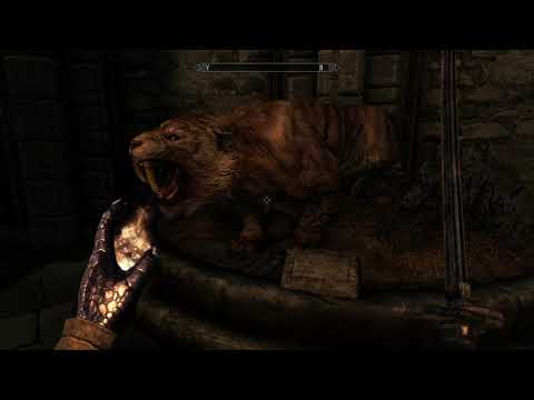 On-Staya Sundew - The Midan Expanded Mod Review Part 8