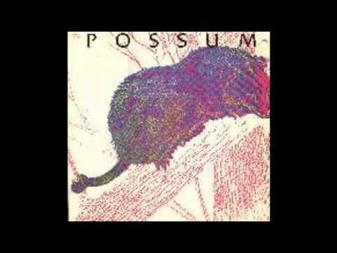 Possum. Ain't enough of me to go around.