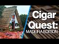 Exploring Madeira’s Scene – What I Found!