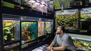 REPTILE ROOM TOUR December 2025! | 125+ Reptiles and Amphibians in one room!