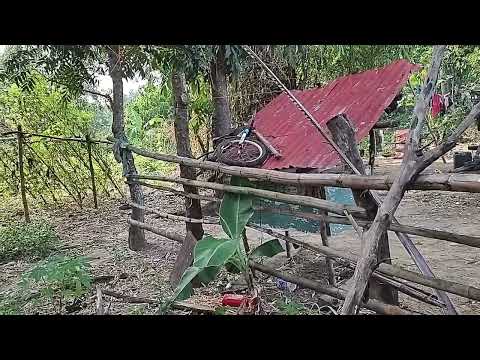 Marife Surveys An Island Deep Well Nice People And Animals