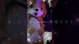 なだポメ 歌ってみたショートまとめ 2024 ワン