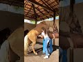 Hours Riding Hot Girls With Hours Animals Hours HoursSaxsey
