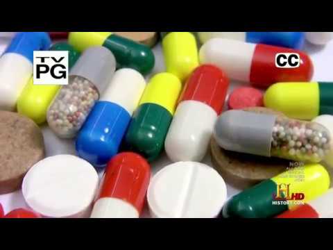 Im Rausch - Die Geschichte der Drogen