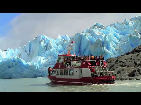 Vitamina A1/Vitamina Básico - Unidad 5