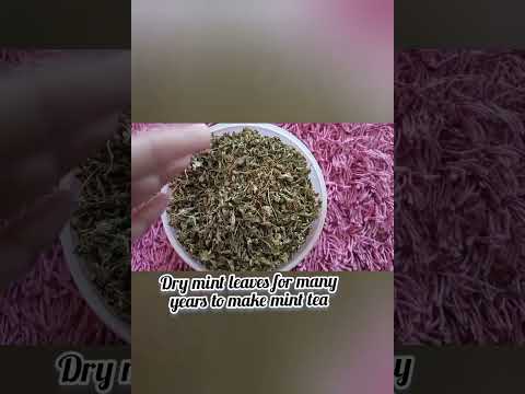 use dried mint leaves #mint tea ☕#cooking recipes#shorts