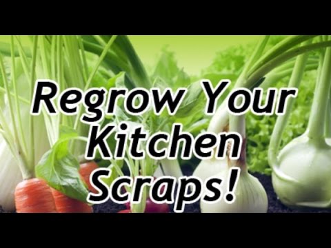 Massage katawan slimming video Pagganyak pagbaba ng timbang quotes