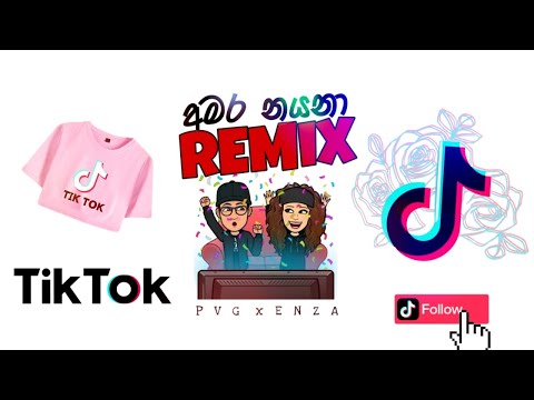 Amara Nayana | අමර නයනා - PVG ft. Lil EnZa ( TikTok  Music Video)