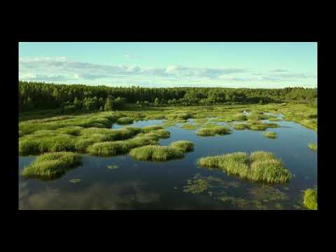 Bovallsbäcken, en efterbehandlad torvtäkt.