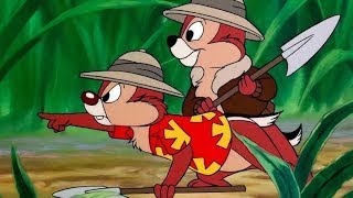 Мультсеріал / Чіп і Дейл українською / всі серії підряд