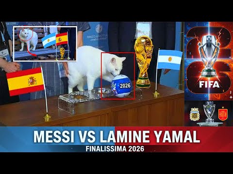 Achilles Predicts the Finalissima 2026! Argentina vs Spain Shocking Prophecy Revealed 🔥🐱⚽
