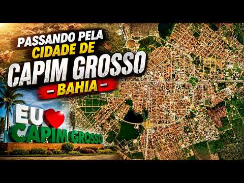 CAPIM GROSSO NA BAHIA