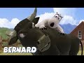 Bernard Bear Bullfighter AND MORE 30 Min Compilation Cartoons For Children