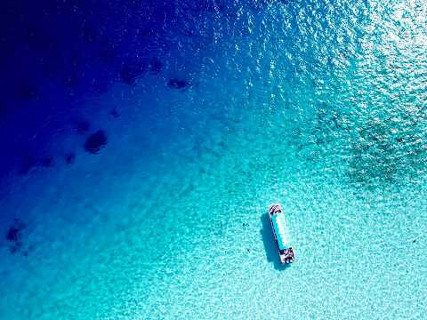 八重干瀬シュノーケリング♡日本天然記念物♡ドリンク軽食付き