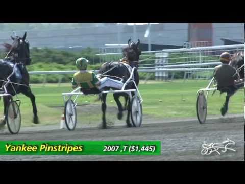 Tim Tetrick Part 1-- A Day in the Life -- Hoof Beats