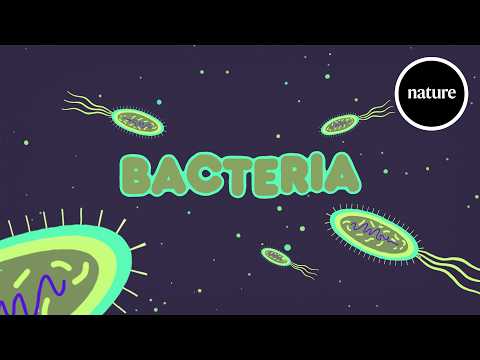 Can Bacteria Help Fight Cancer?