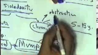 systemic pathology : digestive system 1:mouth salivary glands DR SAMEH GHAZY