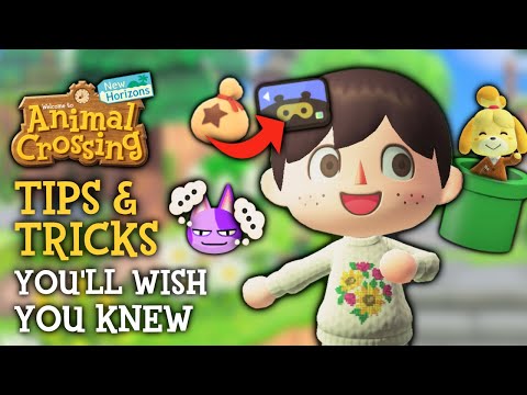Tips & Tricks I WISH I Knew Sooner in Animal Crossing New Horizons