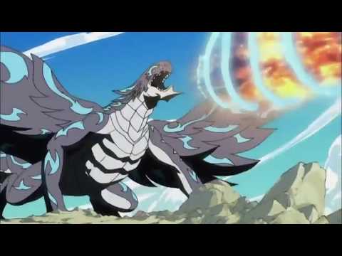 Fairy Tail _ Les chasseurs de dragon