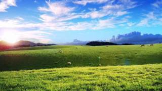 A paisagem Music Video