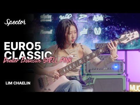 임채린 - In Touch (DAUL) Cover | Spector EURO5 Dealer Exclusive Shell Pink | MUCL