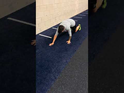 Backwards Bear Crawl