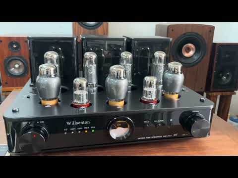 #willsenton #demo Which the tubes  can replaced for better sound quality in Willsenton R8?