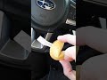 Feeding Seagulls A Full Fortune Cookie