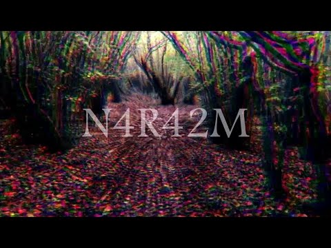 KARL BRUKSON - NARAZM [PROD. EPIK THE DAWN] [VIDEO]