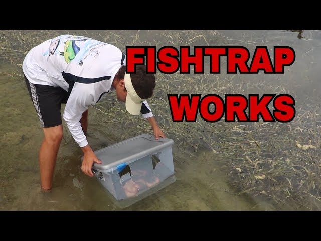HOMEMADE FISH TRAP WORKS
