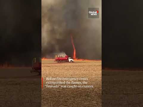 "Firenado" swirls across burning field as extreme heat fuels flames in São Paulo