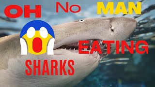 Sharks 👍 🤪 👌  #subscribe #sharks