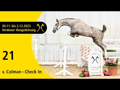 Verden Stallion Licensing 2023 - Jumping - Dec. 1/2- No. 21 Stallion by Colman - Check In
