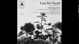 Lust For Youth - Always Changing