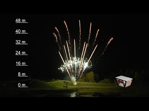 TB132 „Black Puppy“