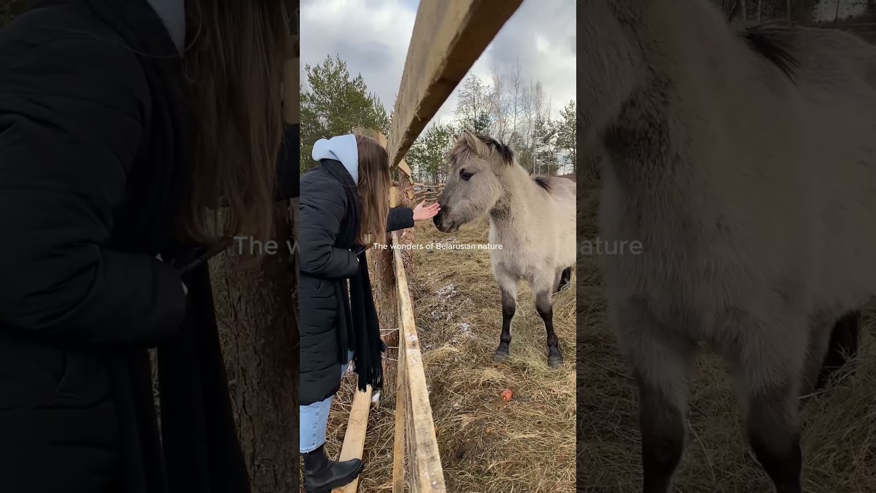 Путешествия по Беларуси