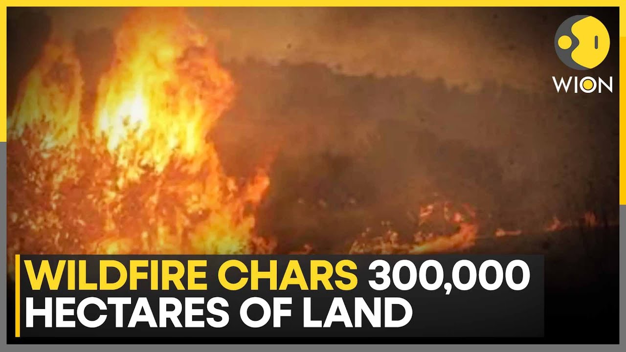 Australia Witnesses Worst Bushfire Since Black Summer Blazes of 2019-2020 | WION News