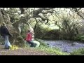 Swing Time AFV Music Compilation AFV