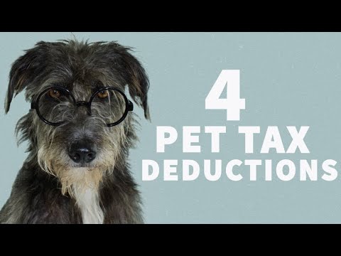 How Being a Pet Owner Could Score You a Bigger Tax Refund