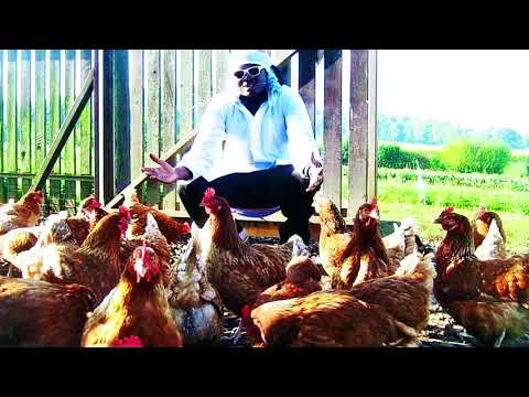 NZINGA - REIS & HÄHNCHEN (OFFIZIELLES AUDIO)