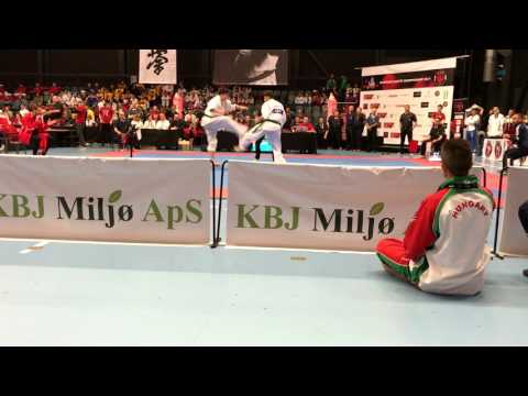 European Kyokushin Karate Championship 2017
