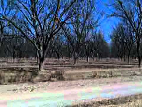 Pecan Fields of Roswell Video 1