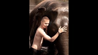 preview picture of video '【旅-泰國】北碧府曼谷Elephants World照顧大象一日體驗營 | 和平過一天 | 餵食餵到你手抽筋'