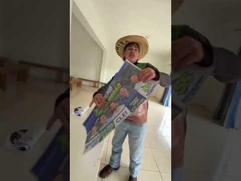 adesivação dos carros em Foz do Jordão