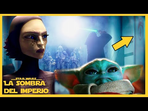 ¿Ya Sabemos Quién Salvó a Grogu de la Orden 66? – Star Wars –