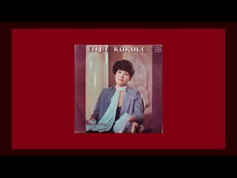 Vizma Belševica, Raimonds Pauls, Aija Kukule - Dziesma par lakstīgalu infarktu