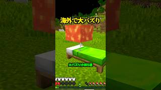 知ってたらプロ！海外で大バズり、小技5選【マイクラ】